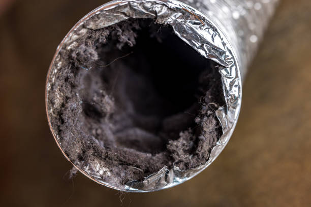 Best HVAC Maintenance and Cleaning  in Wayne Heights, PA